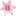 北京网上订花送花，北京网上送花，北京网上订购蛋糕，北京网上订花   - 中国花网(Song-hua.cn)