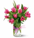 Ten dazzling hot pink Tulips